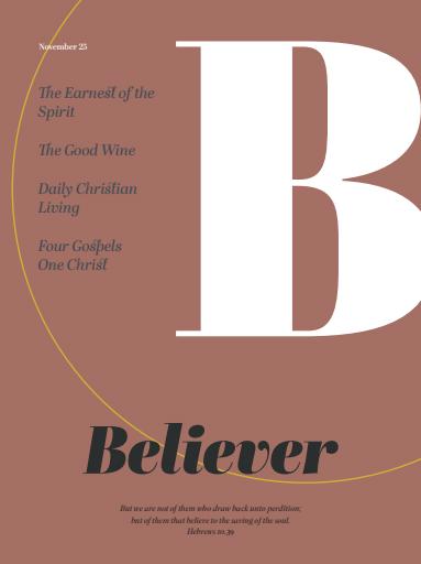 Believer Magazine issue 
