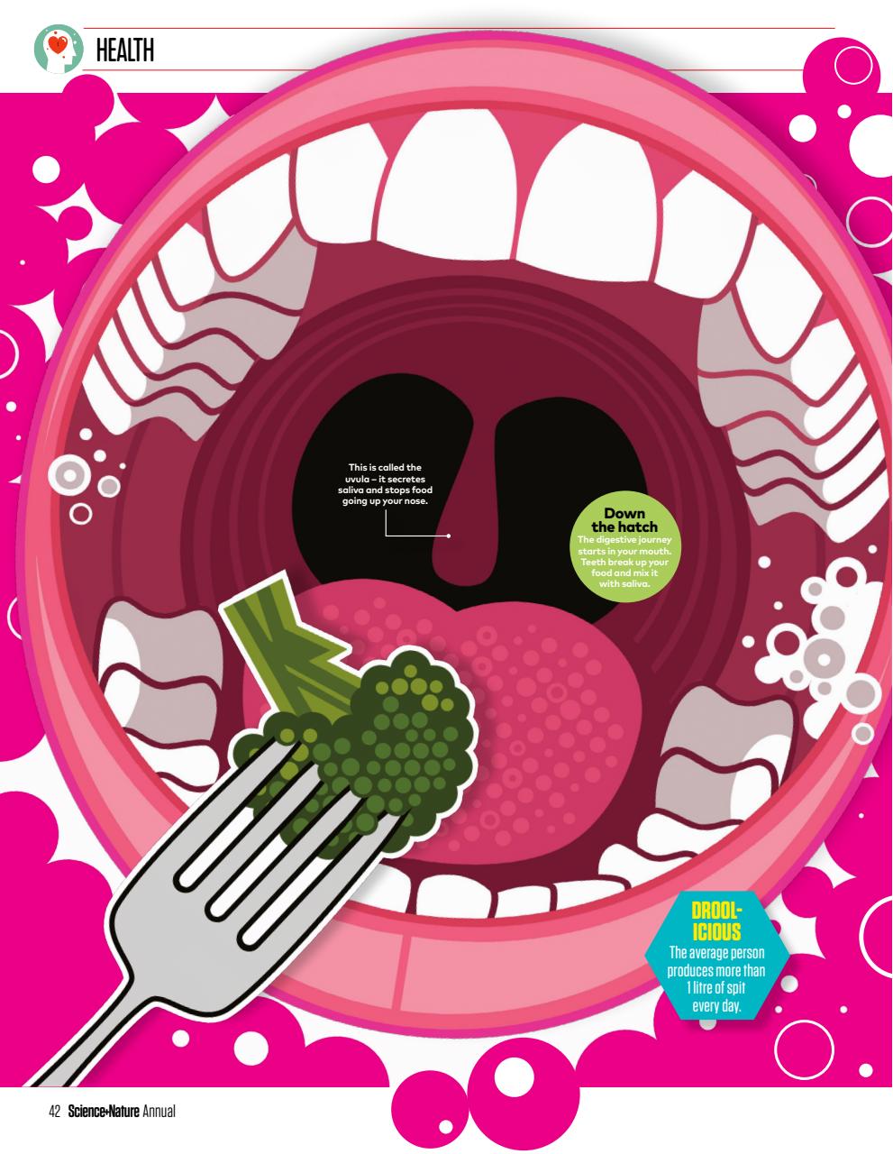 The Week Junior Bookazine Preview Pages