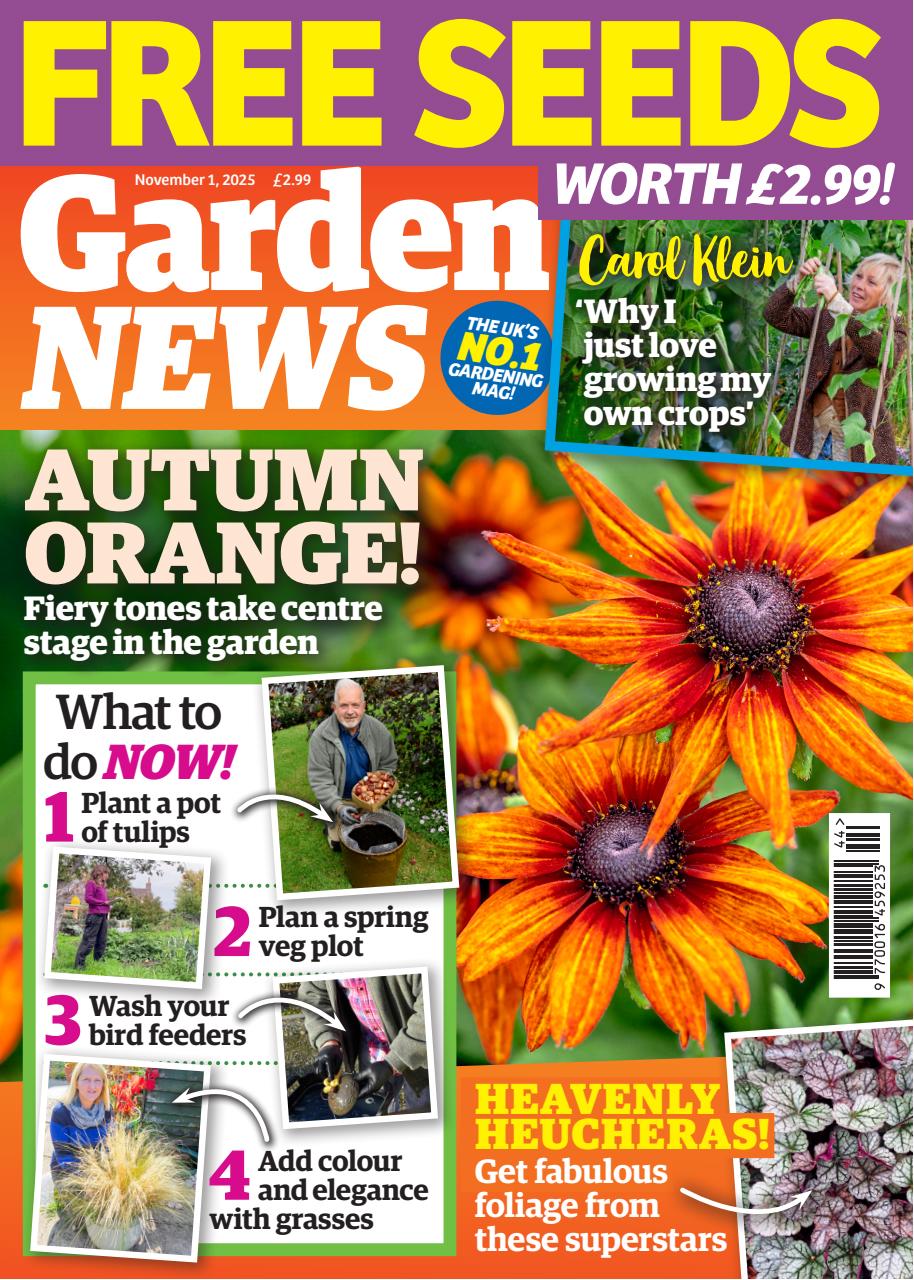 Garden News Preview Pages
