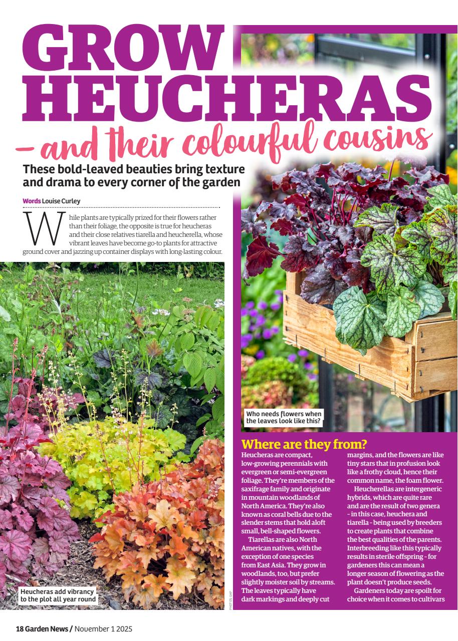Garden News Preview Pages