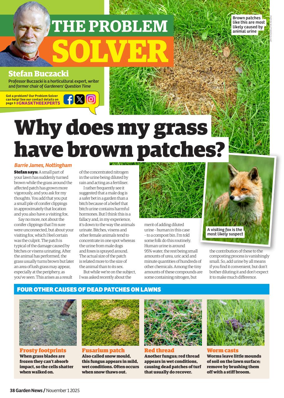 Garden News Preview Pages