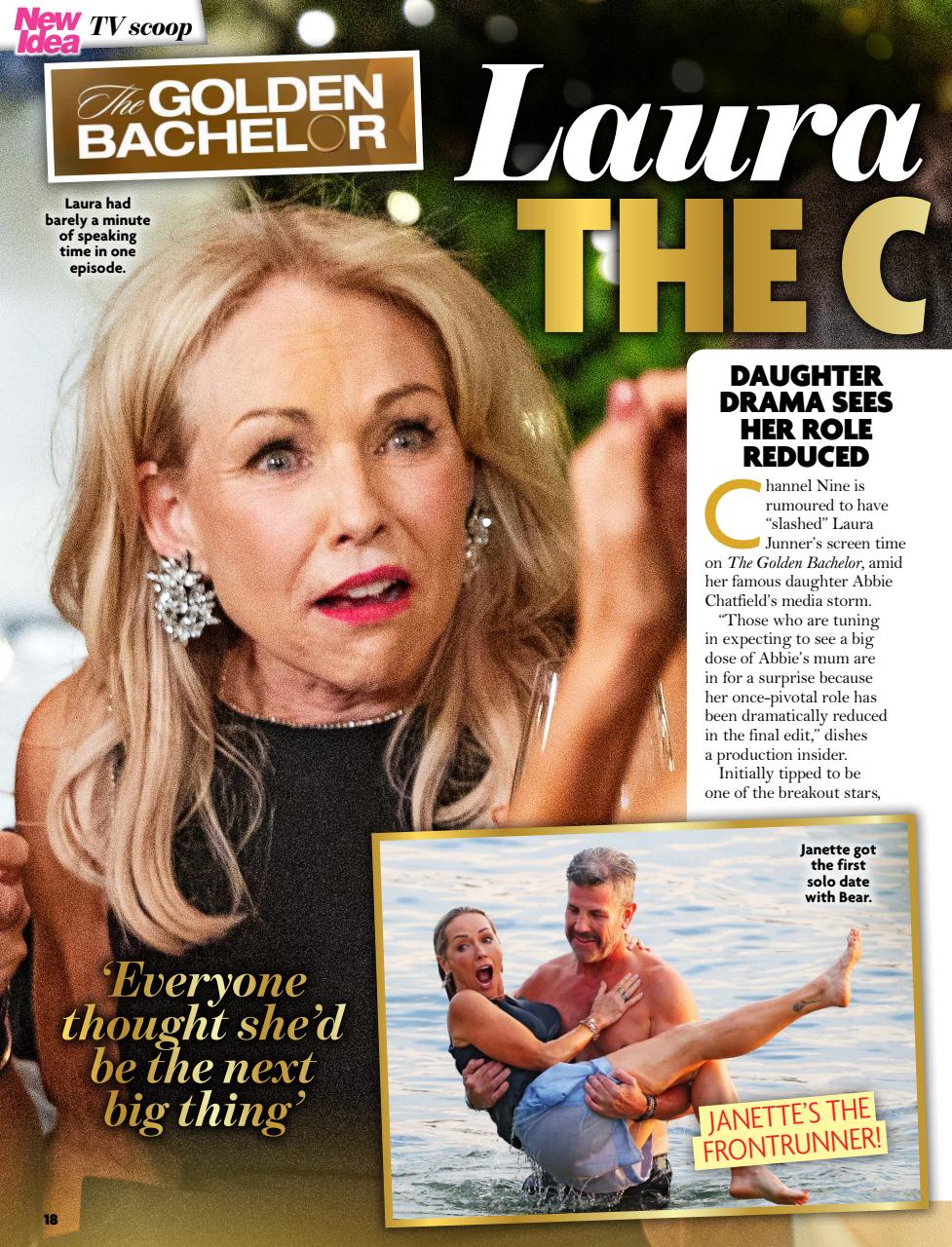 New Idea Preview Pages