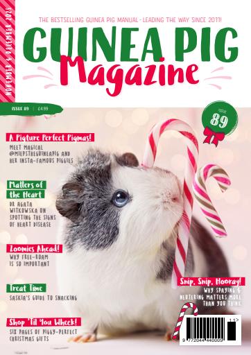 Guinea Pig Magazine issue 