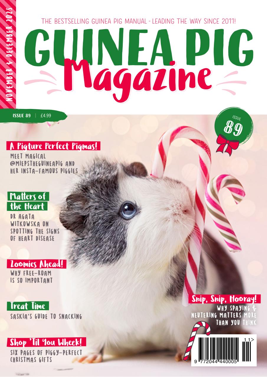 Guinea Pig Magazine Preview Pages