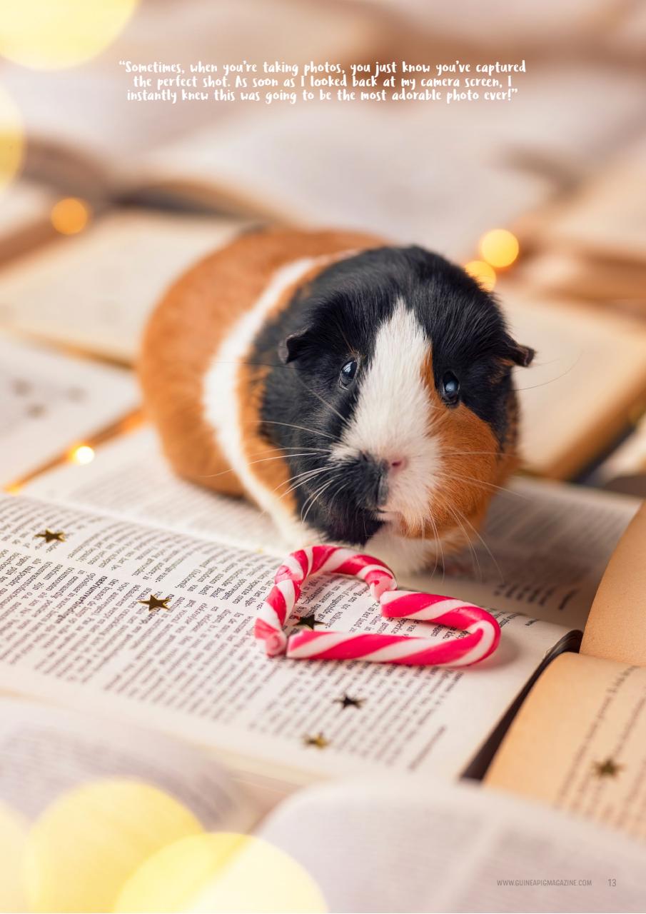 Guinea Pig Magazine Preview Pages