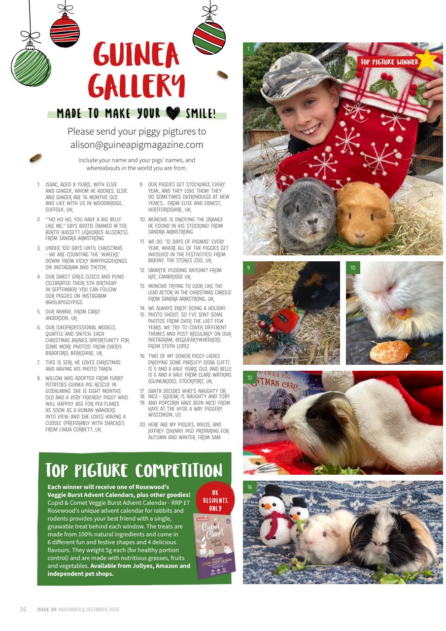 Guinea Pig Magazine Preview Pages