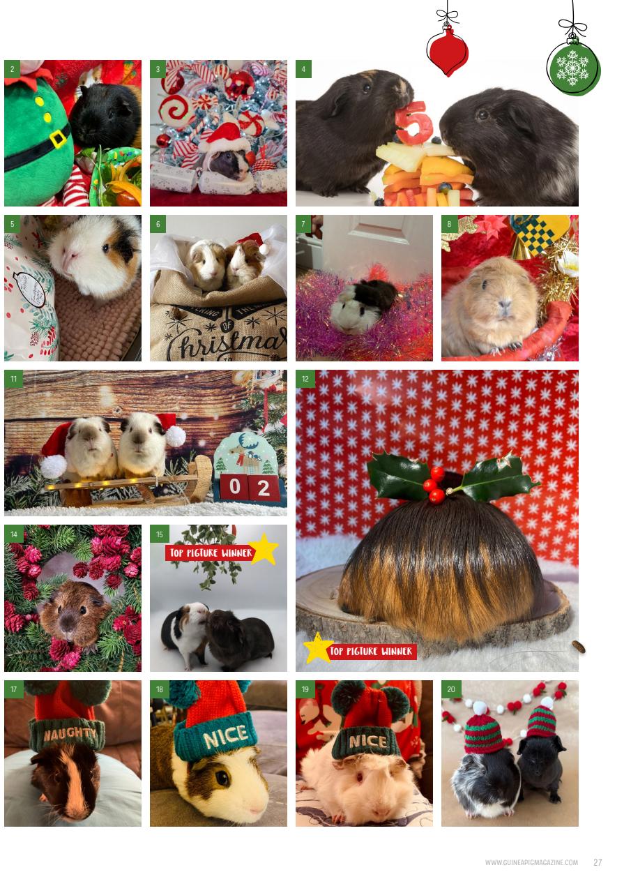 Guinea Pig Magazine Preview Pages