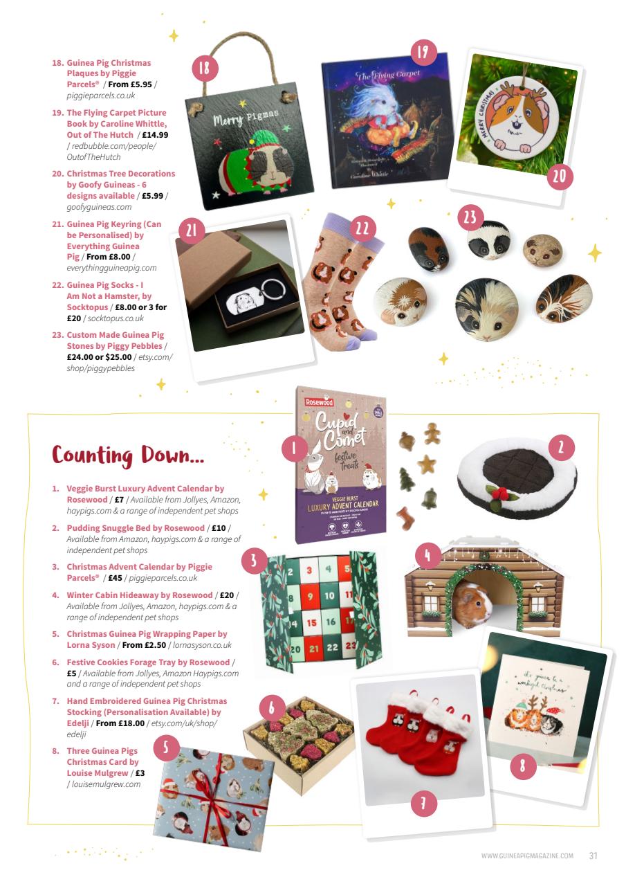 Guinea Pig Magazine Preview Pages