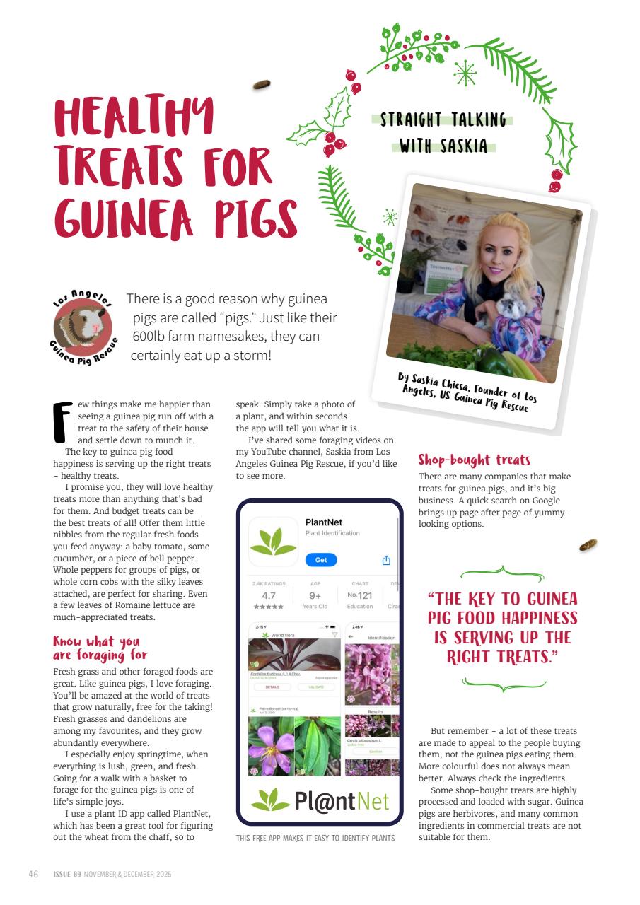 Guinea Pig Magazine Preview Pages