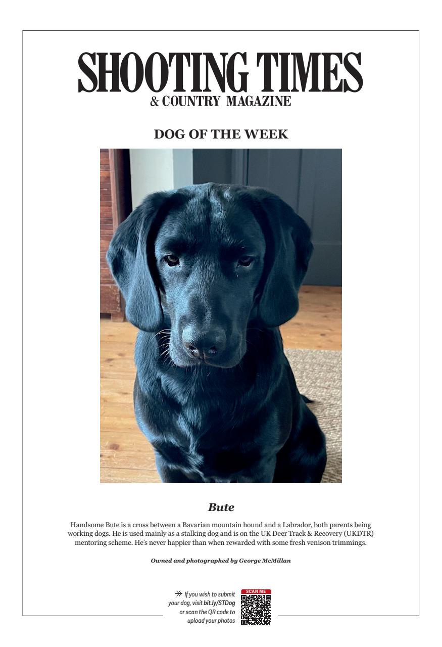 Shooting Times & Country Preview Pages