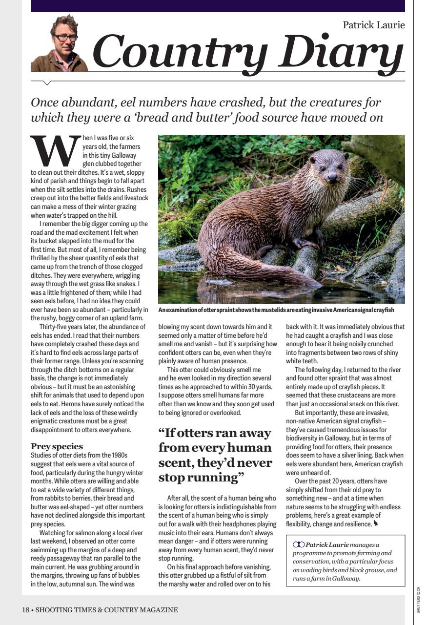 Shooting Times & Country Preview Pages