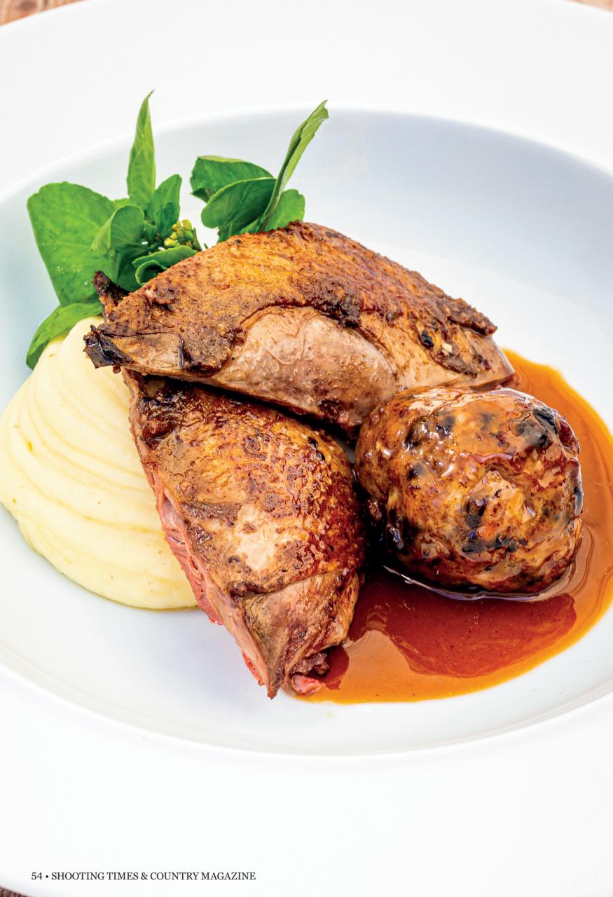 Shooting Times & Country Preview Pages