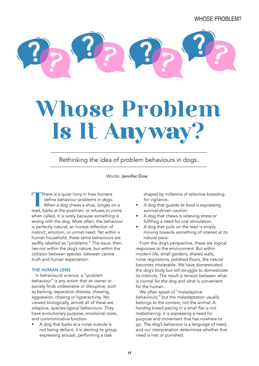 Edition Dog Preview Pages