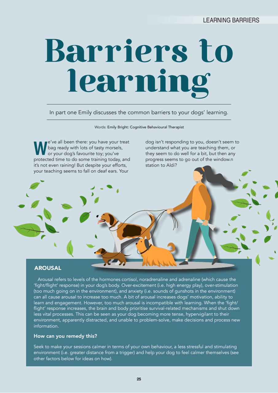 Edition Dog Preview Pages