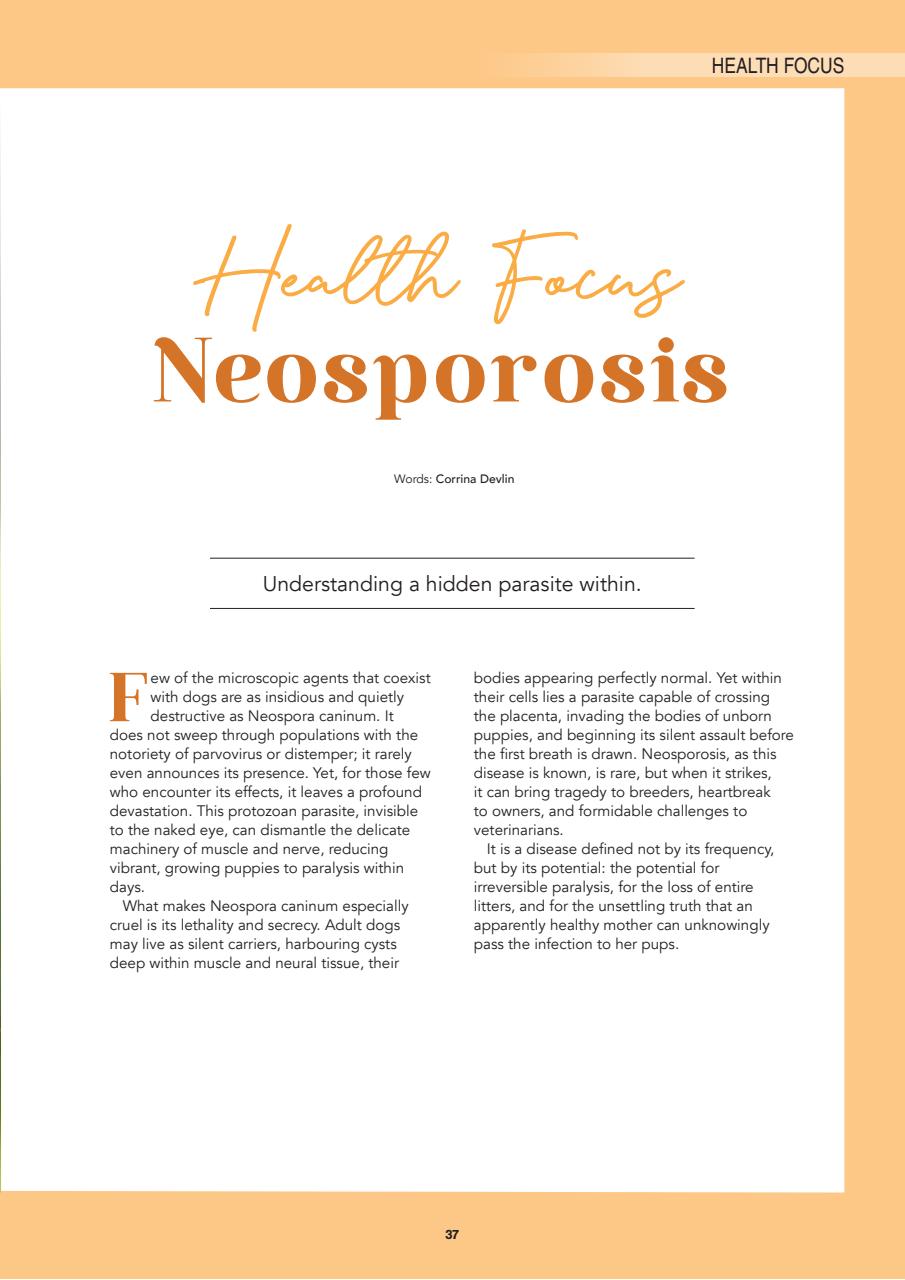 Edition Dog Preview Pages