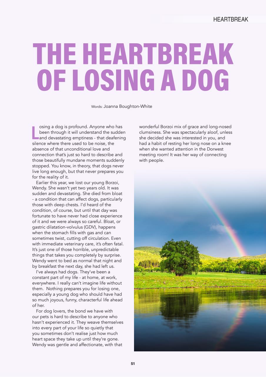 Edition Dog Preview Pages