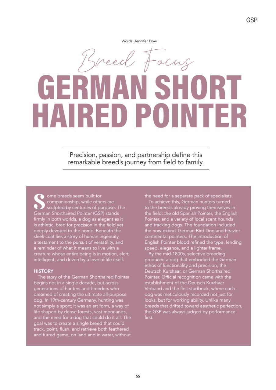 Edition Dog Preview Pages