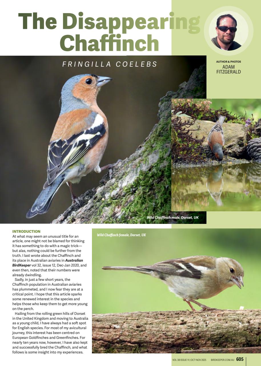 Australian Birdkeeper Magazine Preview Pages