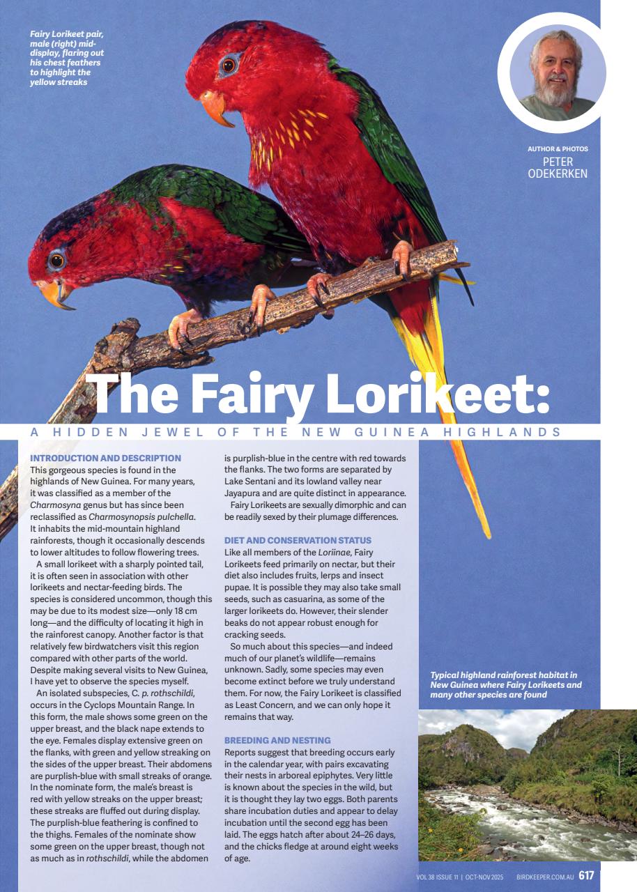 Australian Birdkeeper Magazine Preview Pages
