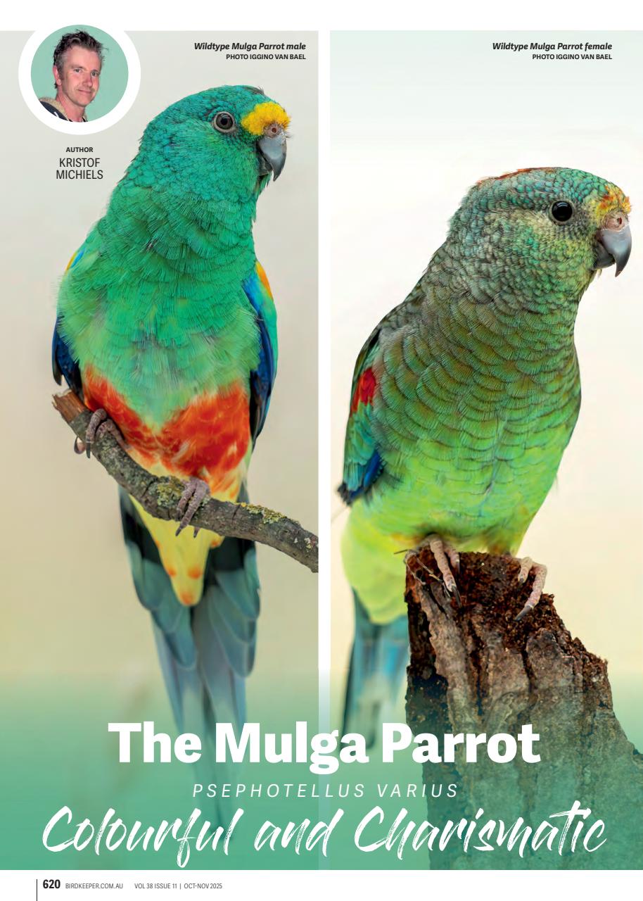 Australian Birdkeeper Magazine Preview Pages
