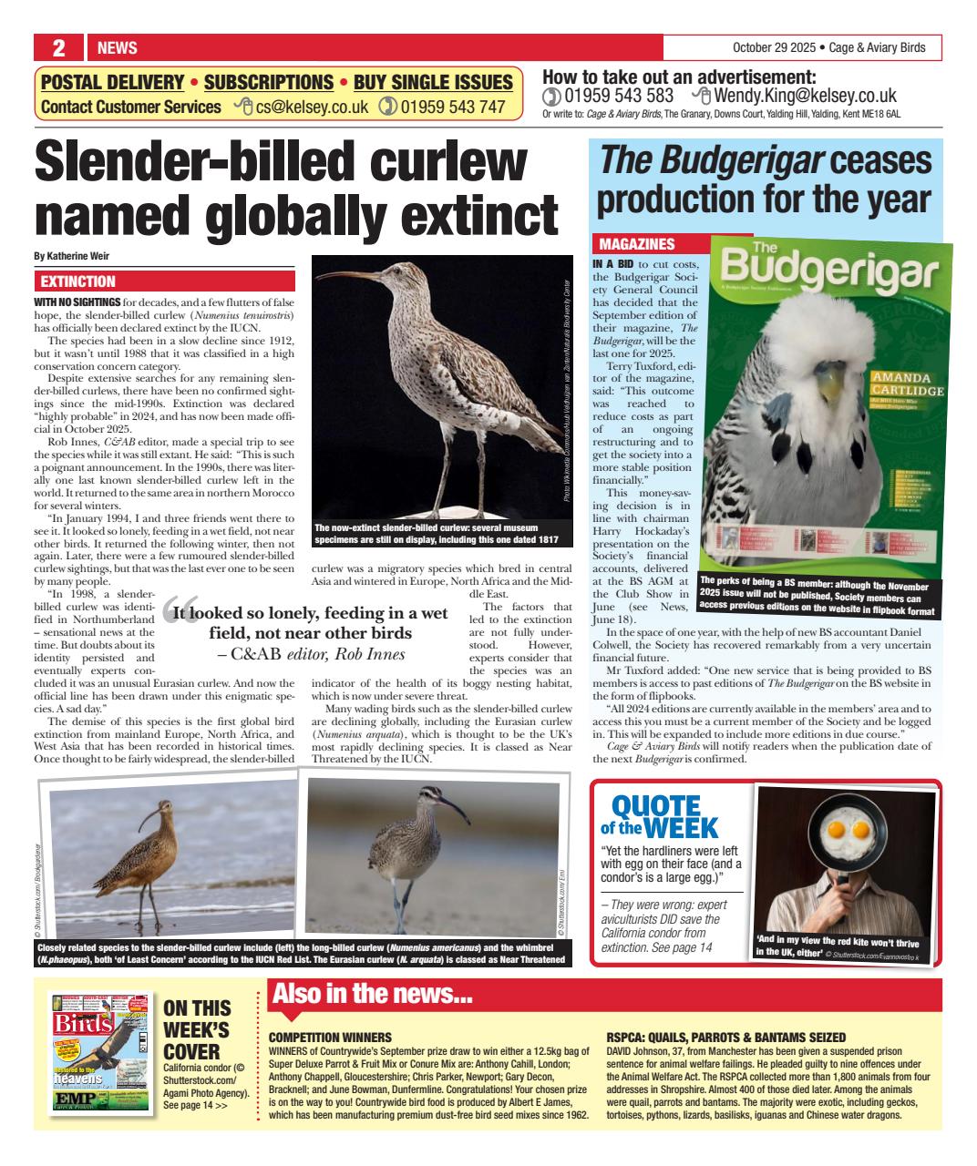 Cage & Aviary Birds Preview Pages