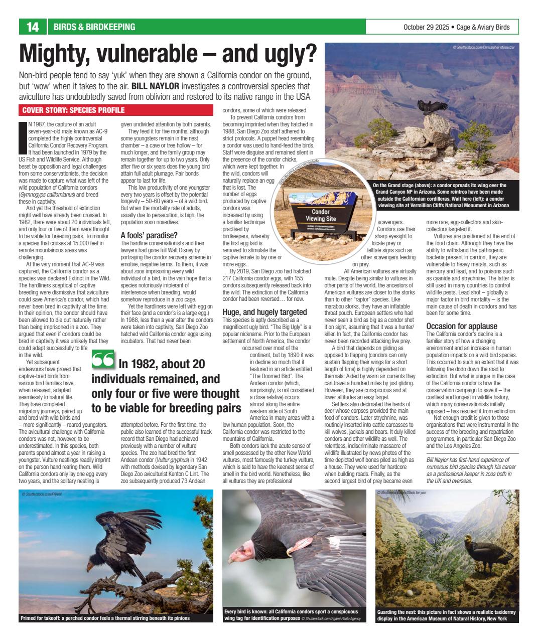 Cage & Aviary Birds Preview Pages