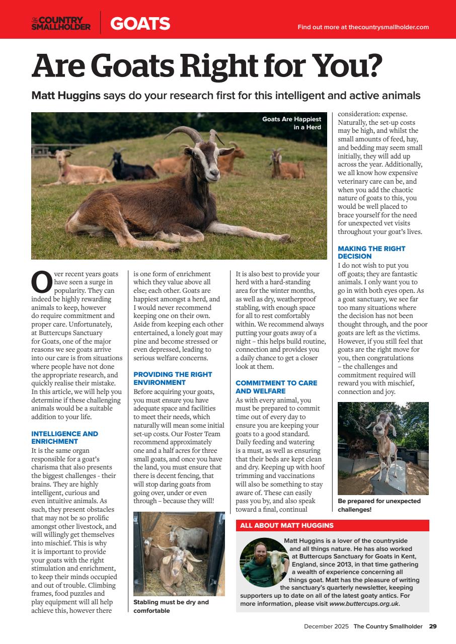 The Country Smallholder Preview Pages