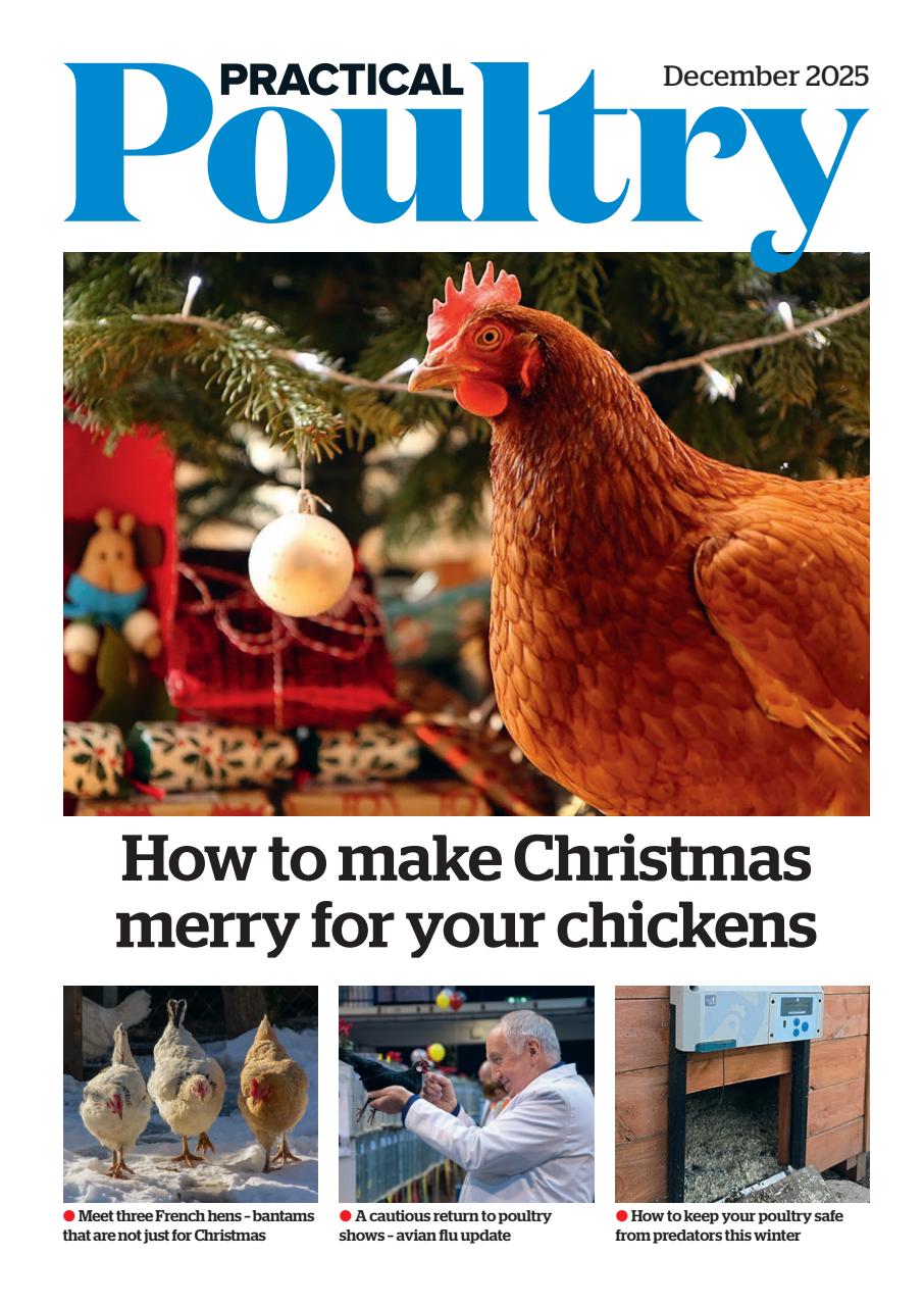 The Country Smallholder Preview Pages