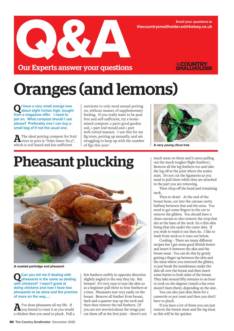 The Country Smallholder Preview Pages