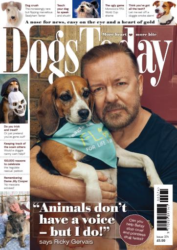 Dogs Today Magazine issue 