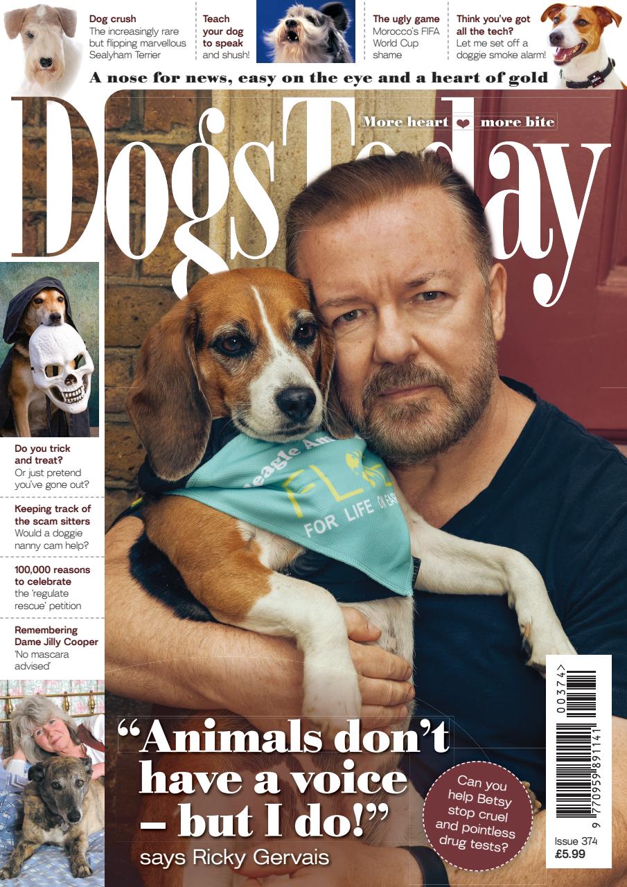 Dogs Today Magazine Preview Pages