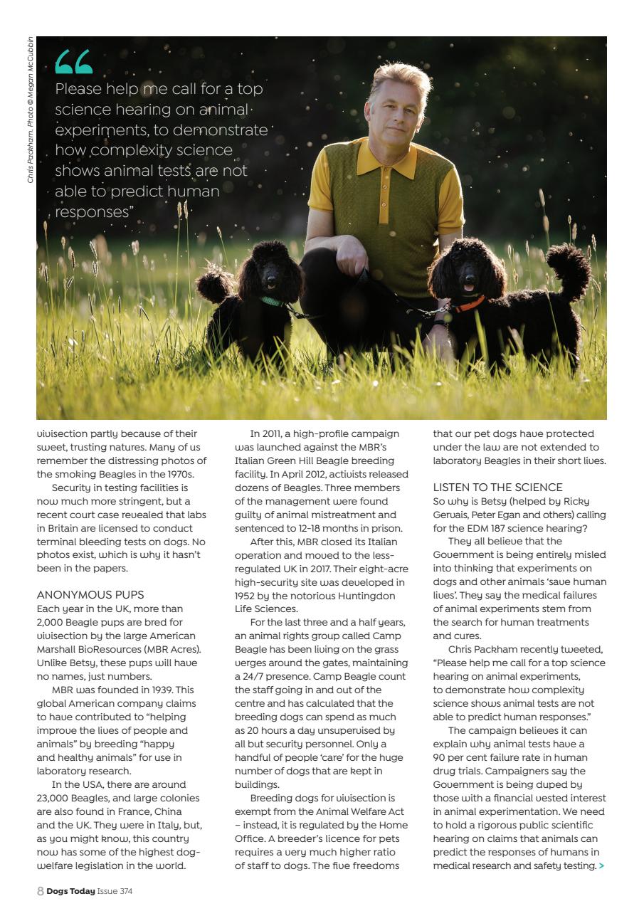 Dogs Today Magazine Preview Pages