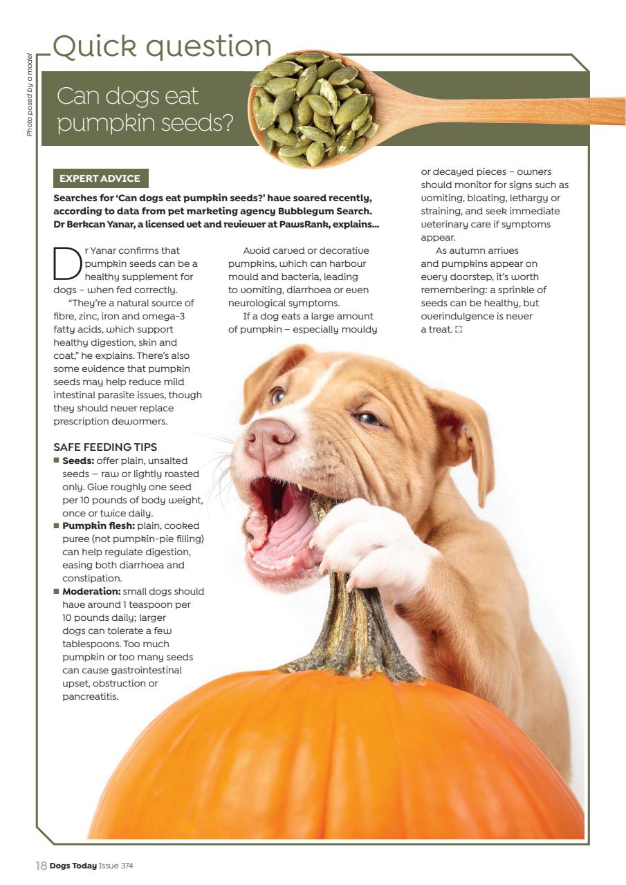 Dogs Today Magazine Preview Pages