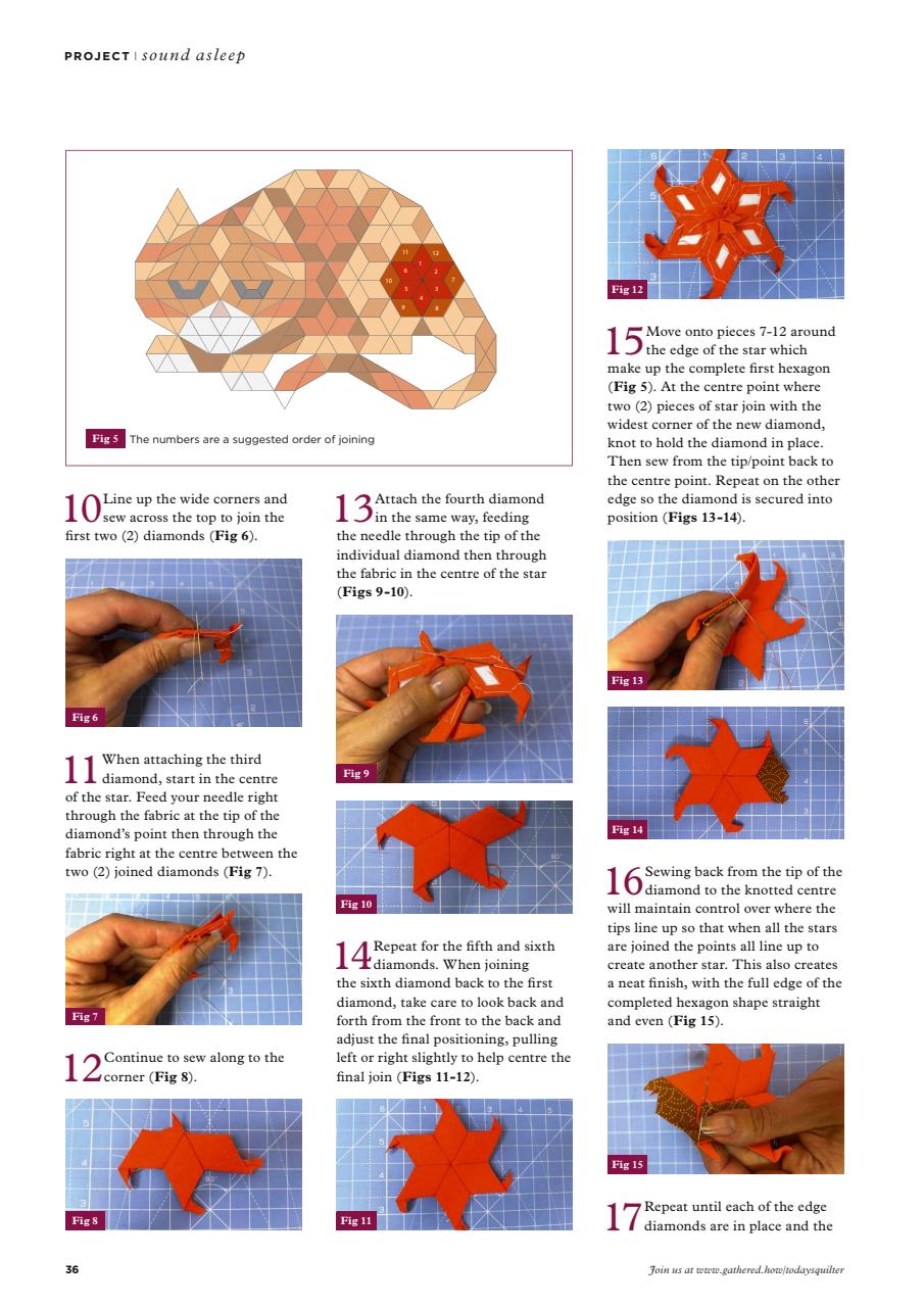 Today’s Quilter Preview Pages