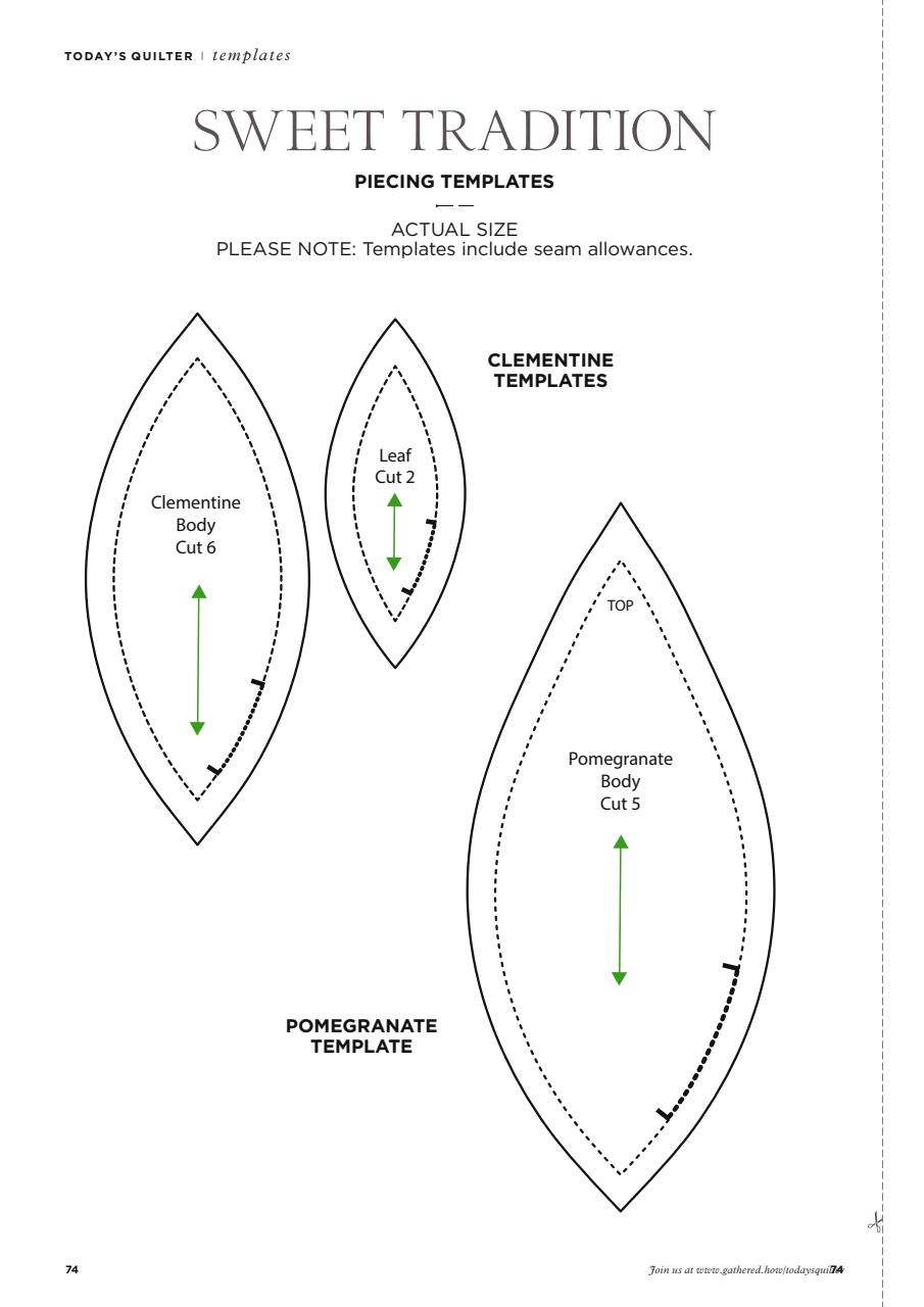 Today’s Quilter Preview Pages