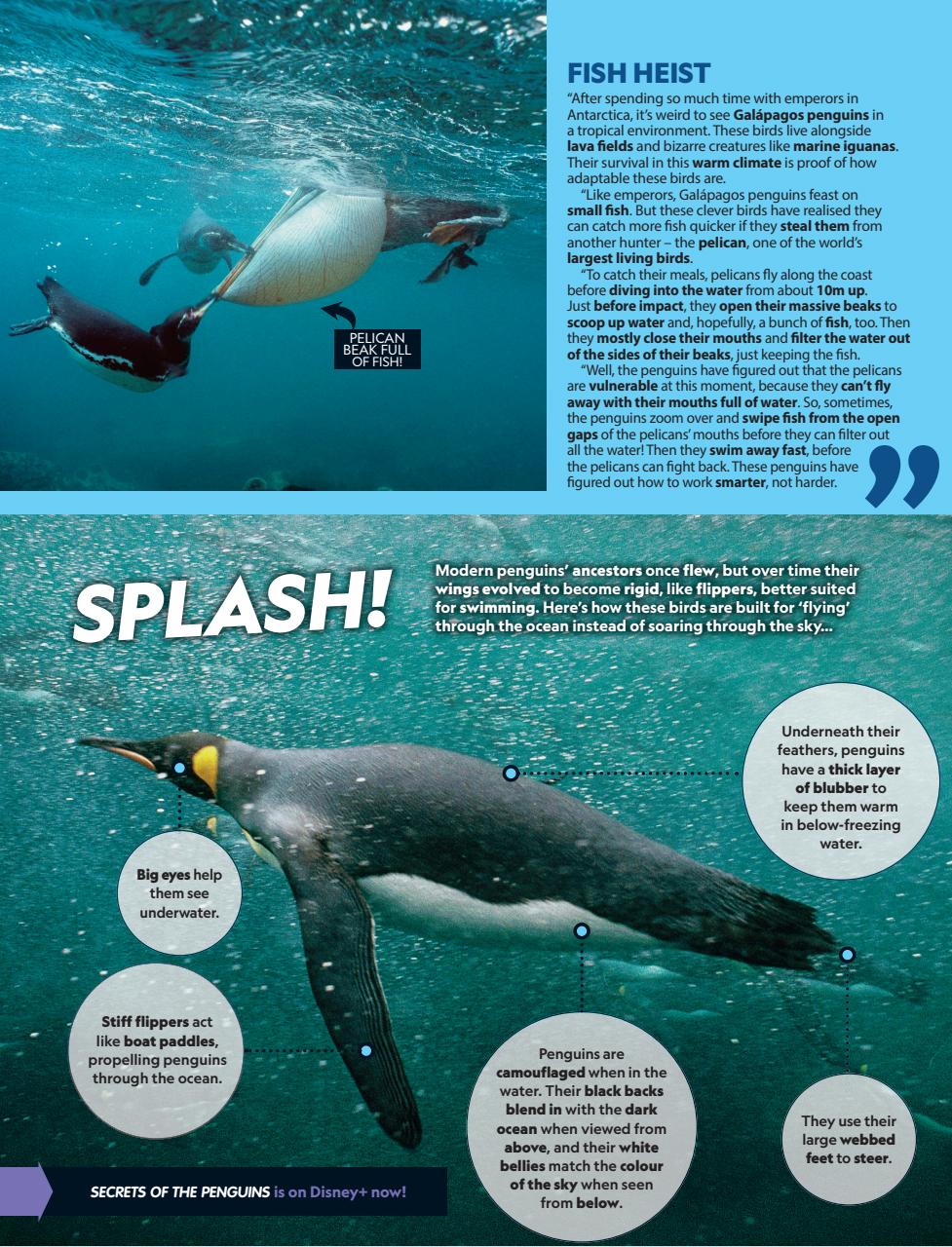 National Geographic Kids Preview Pages