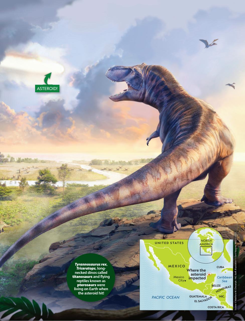 National Geographic Kids Preview Pages