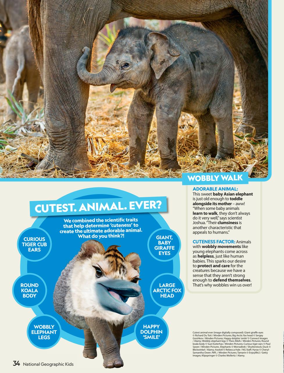 National Geographic Kids Preview Pages