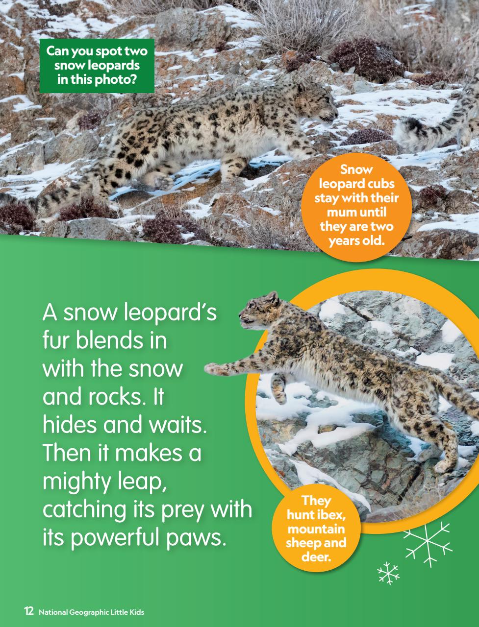 National Geographic Little Kids Preview Pages