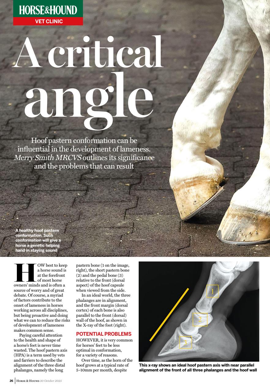 Horse & Hound Preview Pages