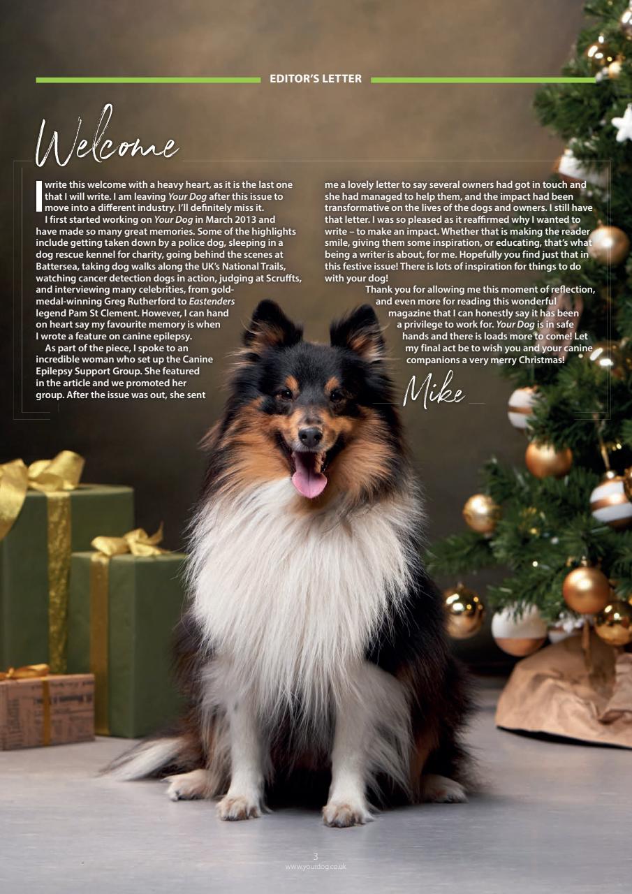 Your Dog Preview Pages