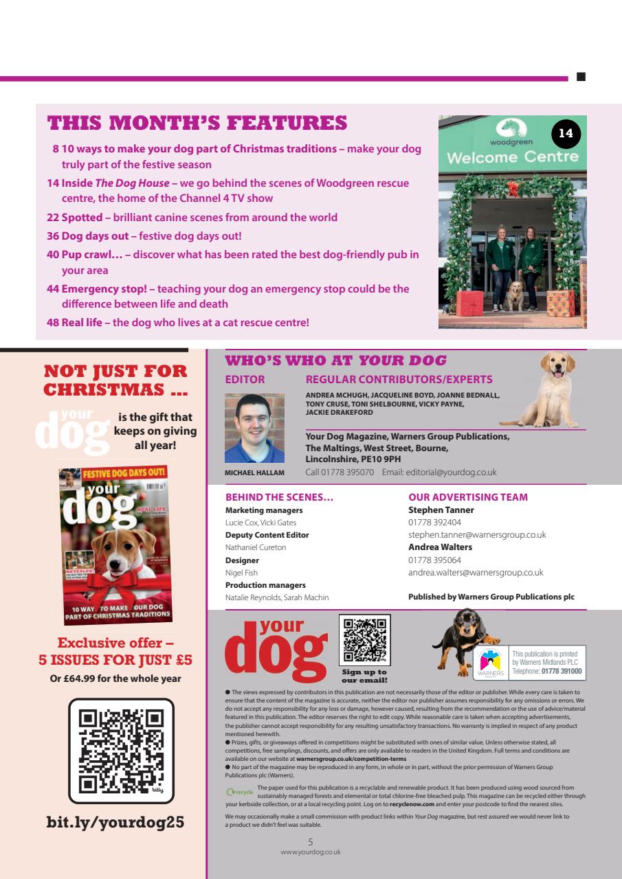 Your Dog Preview Pages