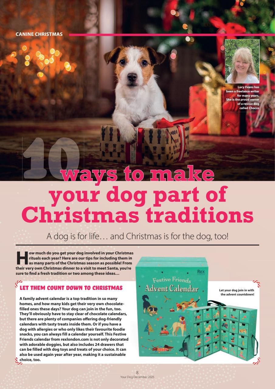 Your Dog Preview Pages