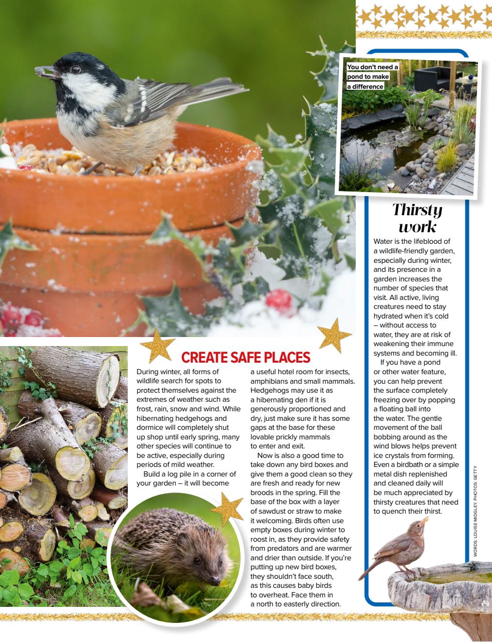 Woman's Weekly Preview Pages