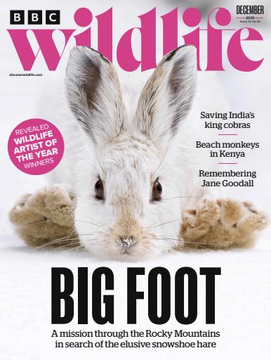 BBC Wildlife Magazine issue 