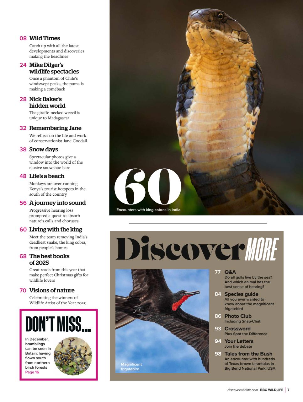 BBC Wildlife Magazine Preview Pages