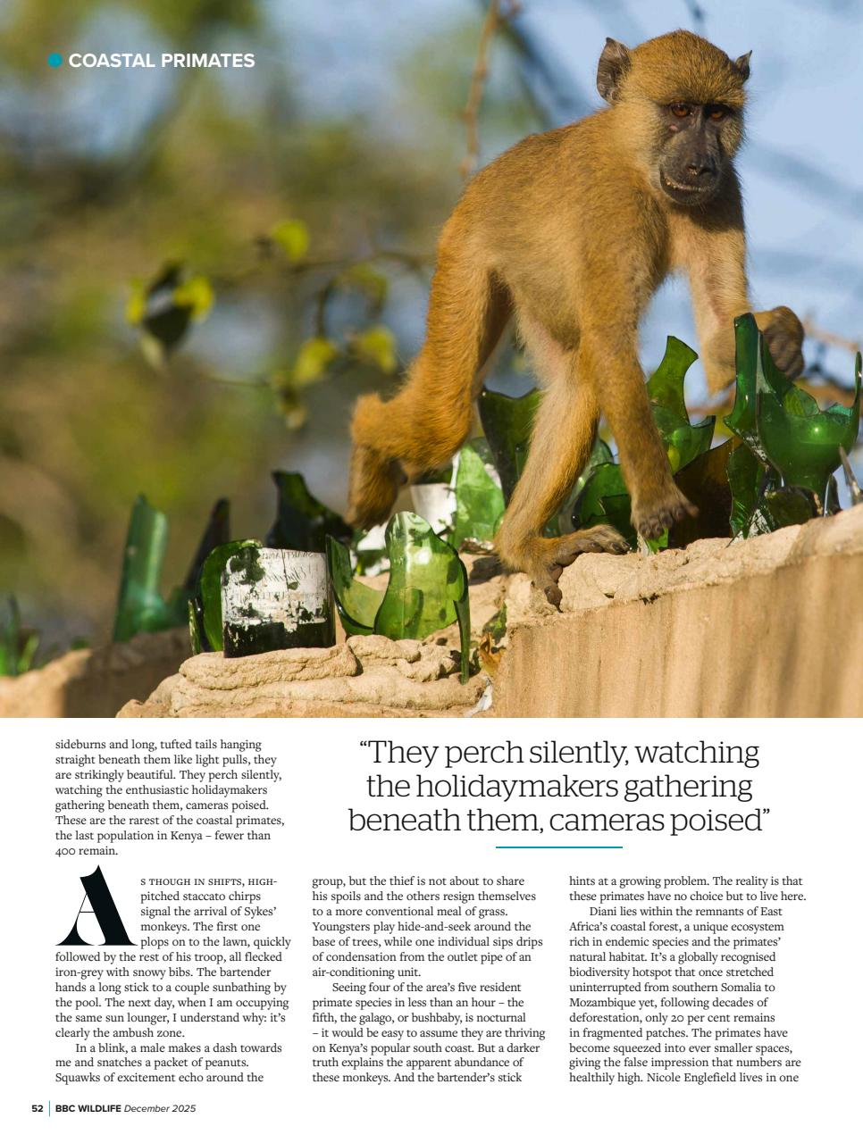 BBC Wildlife Magazine Preview Pages