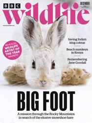 BBC Wildlife Magazine Complete Your Collection Cover 1