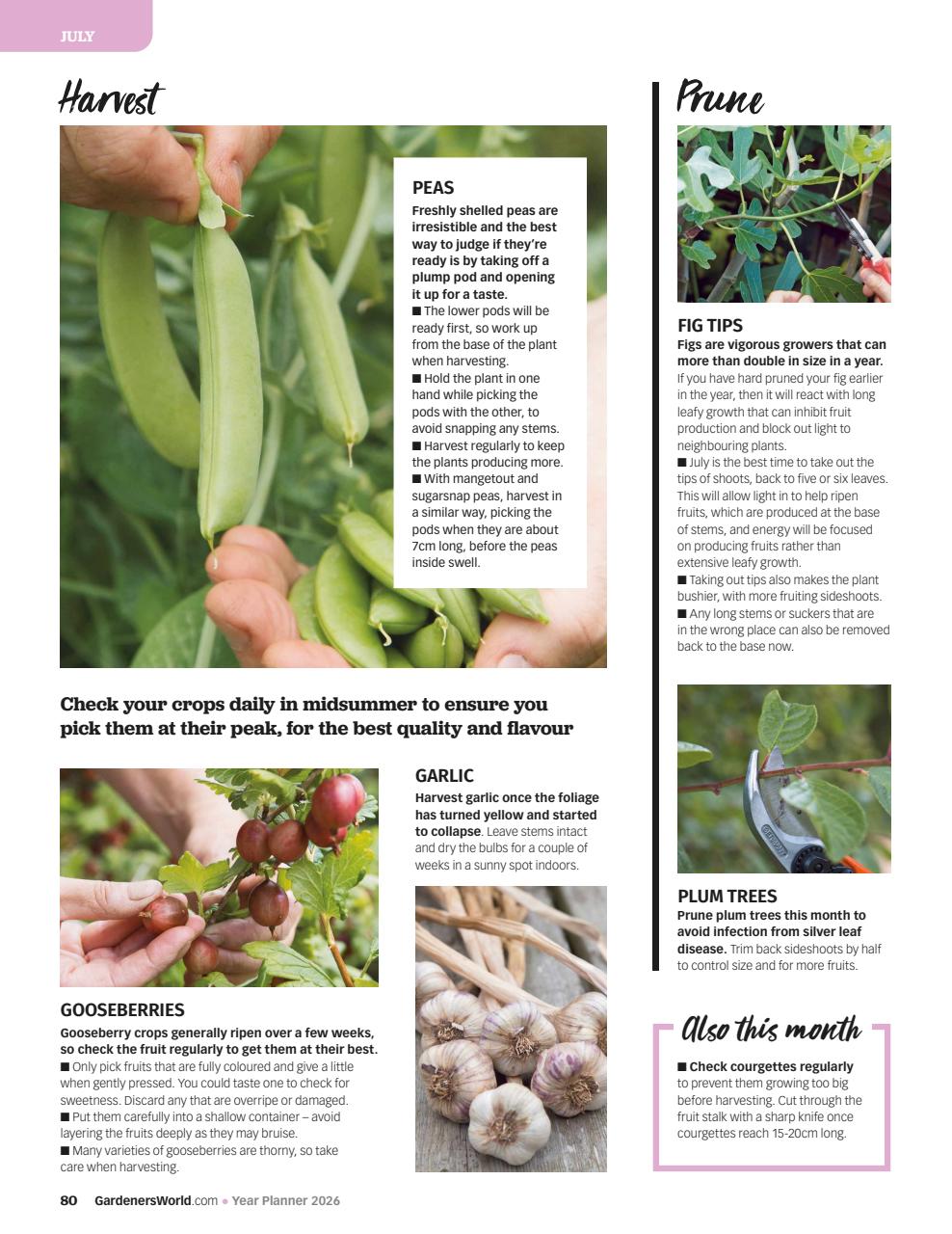 BBC Gardeners’ World Magazine Preview Pages