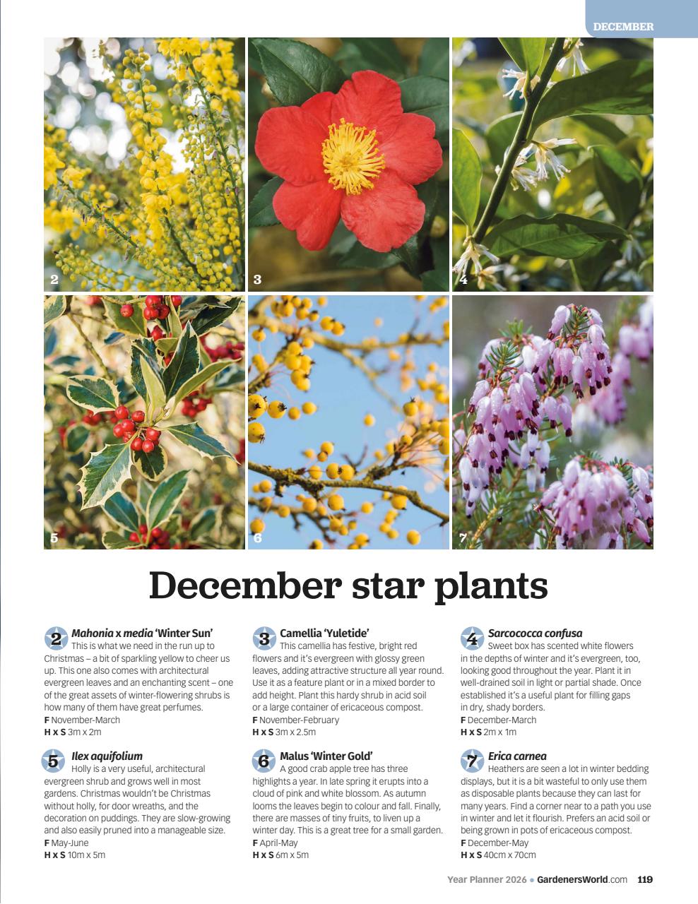 BBC Gardeners’ World Magazine Preview Pages